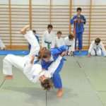 sara kljajic dominik vidos judo