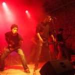 cold snap8233