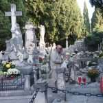 boninovo svisveti8472