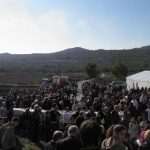 lisac 15
