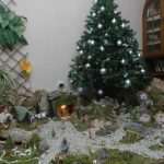 betlehem paulina milat04