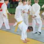judo bozic06
