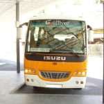 libertas bus