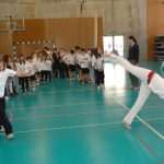 capoeira103