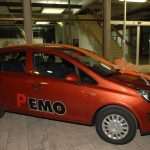 pemo fosili182