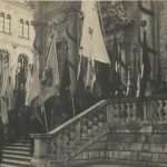 018 njavro (7)