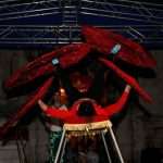 Albanski Circus (3)