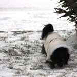 IMG 8543