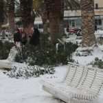 IMG 8593