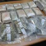 droga mup trava16