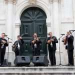 Festa Kamenica i vina (2)