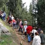 Krizni put (5)