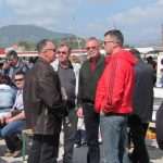 kamenice33