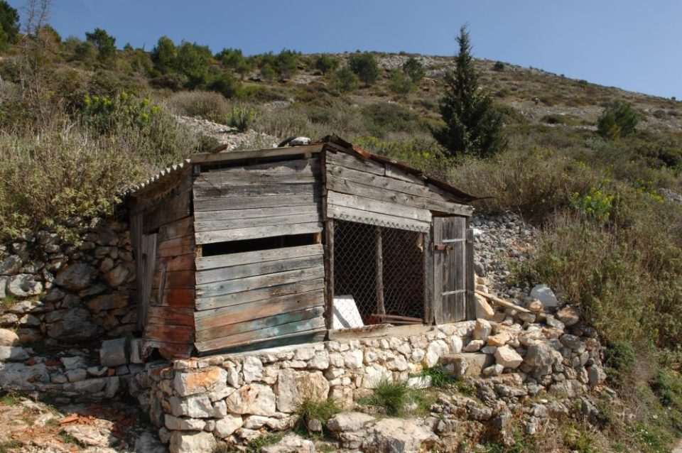 nuncijata274