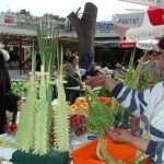 palme du panzvo 2103