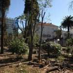 park0018