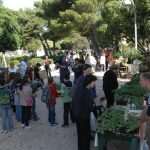 cvijece placa048