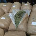 mup droga carina017