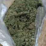 mup droga carina029