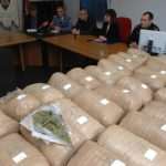 mup droga carina062