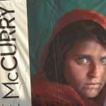 UGD McCurry216