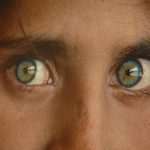 UGD McCurry307