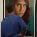 UGD McCurry312