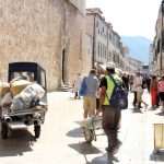 orkestri (5)