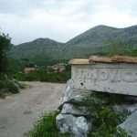 trnovica22