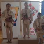violic bilic judo 1