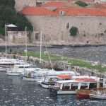035 njavro (2)
