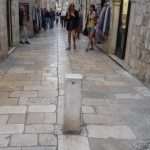 036 njavro (1)