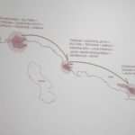 belvedere plan 3