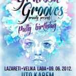 dj party pully plakat
