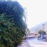 hebrang