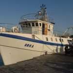orka ribari koca289