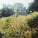razglednice3