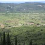 polje1