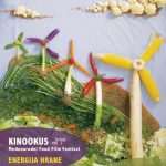 kinookus plakat v