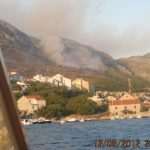pozar citateljica