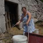 vatrogasci primorje022