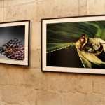 fotoklub06