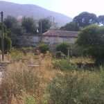 gundulic zarastao2