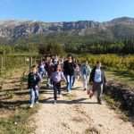 konavle 3