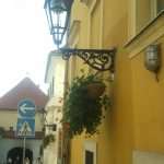 petunije zagreb3