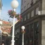 petunije zagreb5