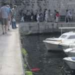 porat pantagana 007