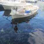porat pantagana 010