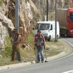 lozica069