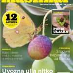 maslinar naslovnica 01
